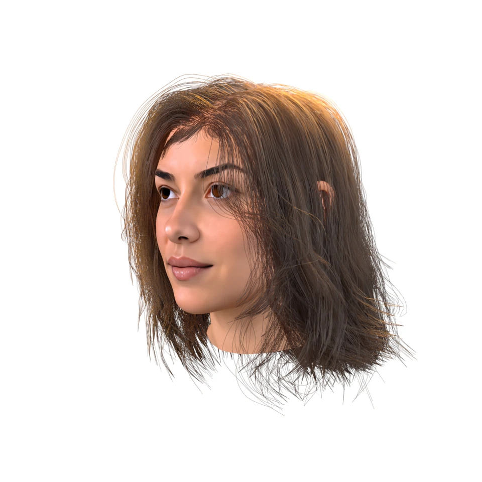 3D head with long brown waves